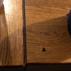 Meet your Posher, Memelissa